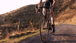 timg (1).gif timg (1).gif