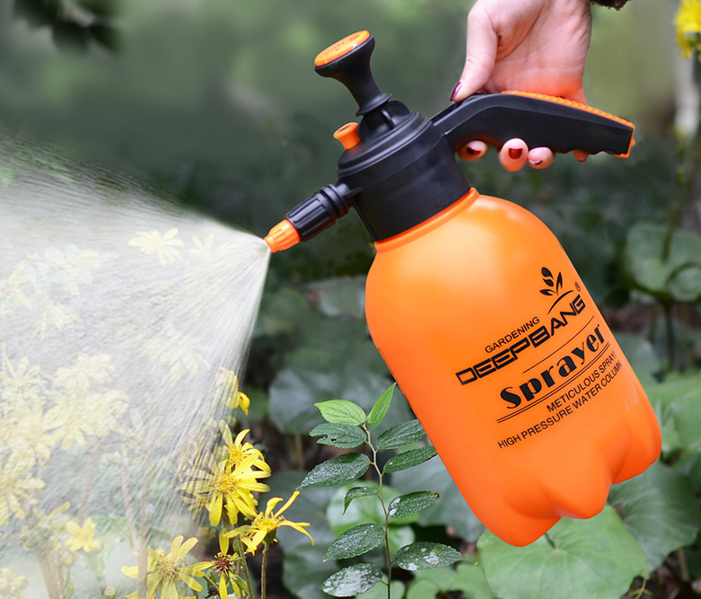 WX20181205-155719.png WX20181205-155719.png