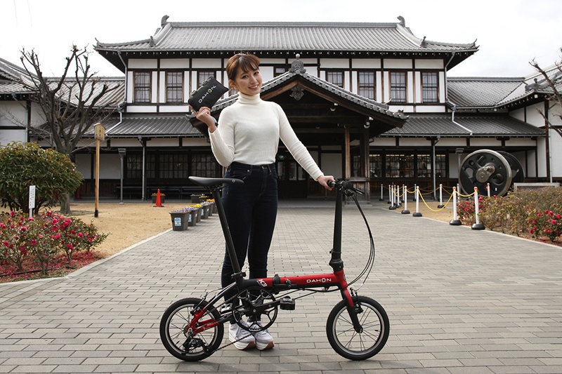 DAHON大行折叠车