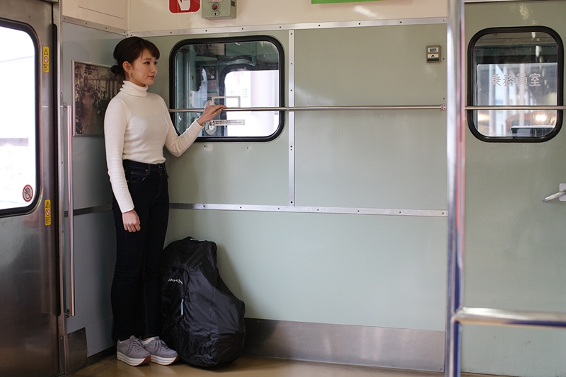 DAHON大行折叠车