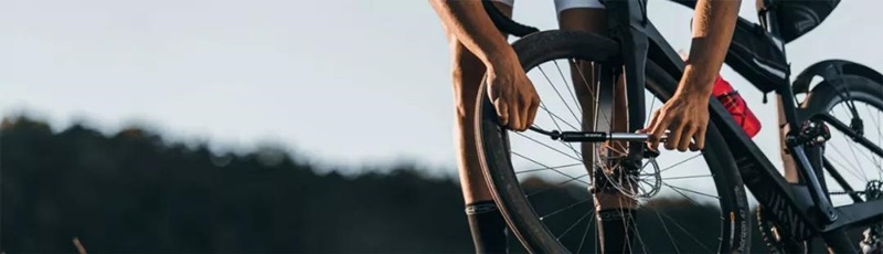 Z��fal���Ͻ�����˫�����Ͳ