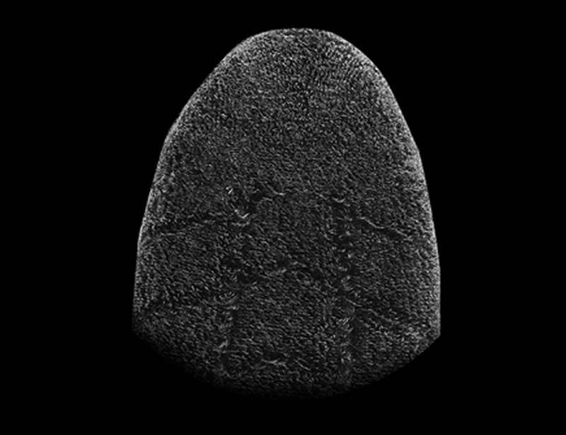 富律业,骑行袜 富律业,骑行袜