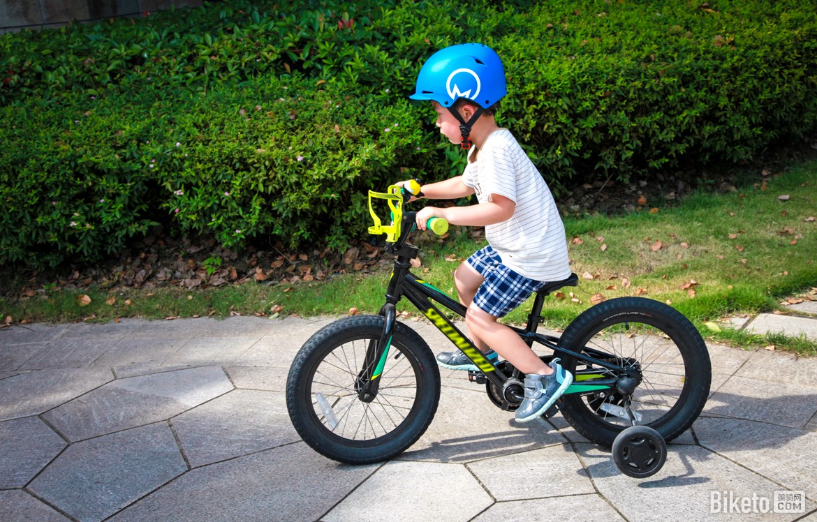 MSRM_joey_3.jpg MSRM_joey_3.jpg