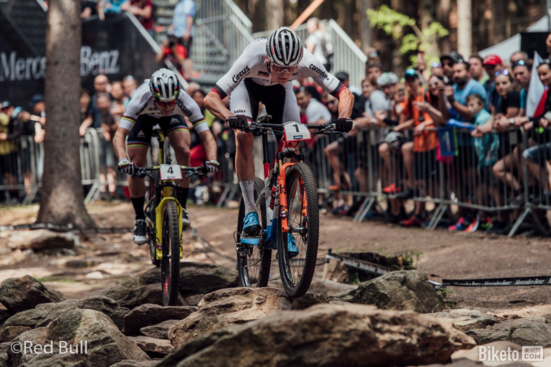 来自弗兰德斯的庇护 LAZER品牌历史