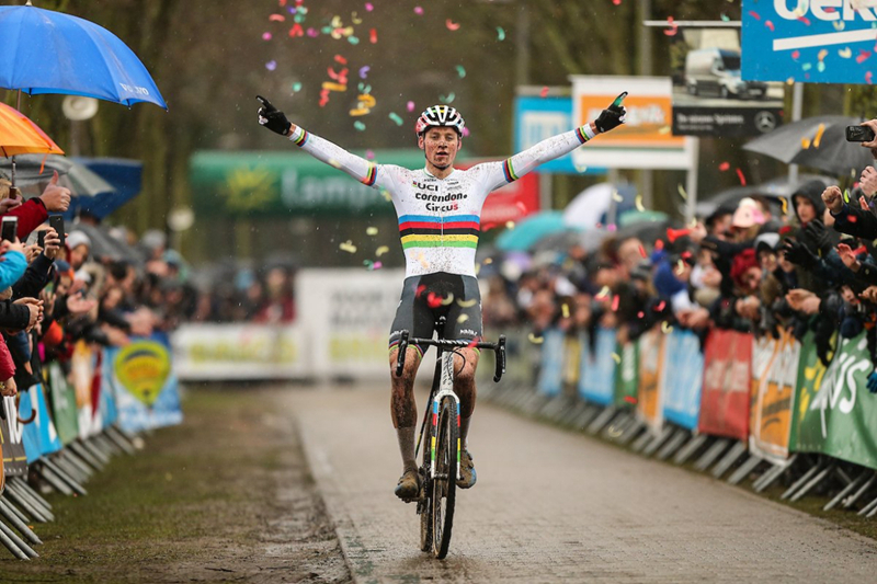 来自弗兰德斯的庇护 LAZER品牌历史