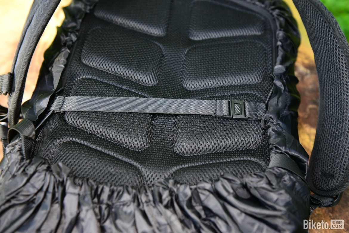 MONTON����2020������ͨ�ڱ���ʹ������