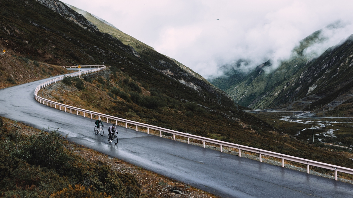 MYSENLAN��ɭ���ﶬ��Ʒ