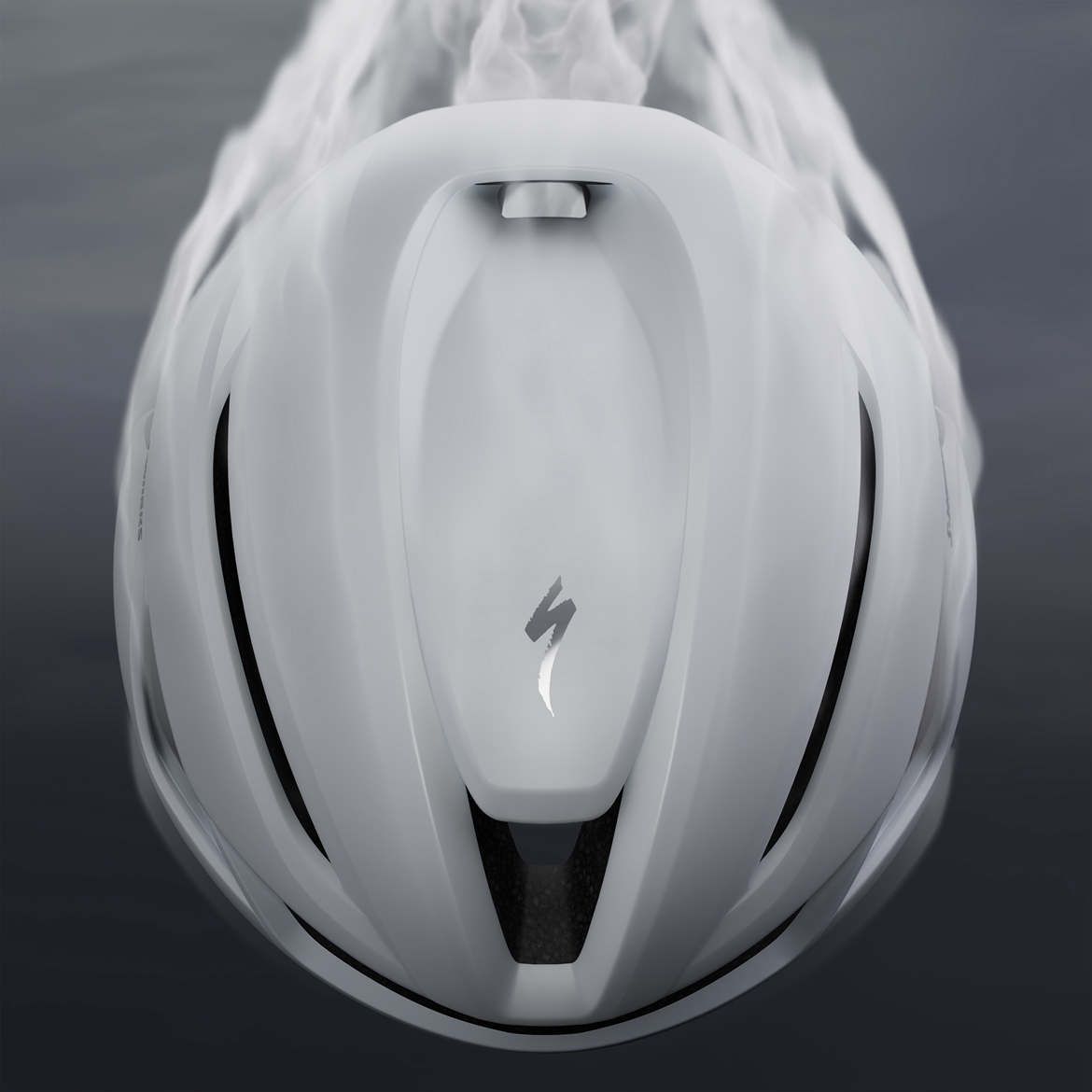 EVADE4