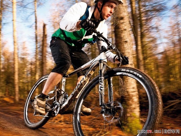 捷安特 Anthem X29’er 1