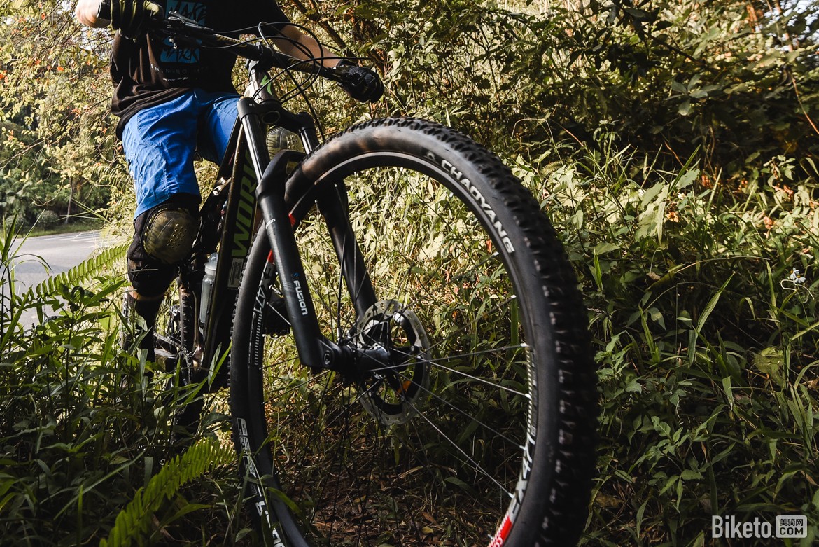 朝阳“美洲狮”山地折叠外胎评测