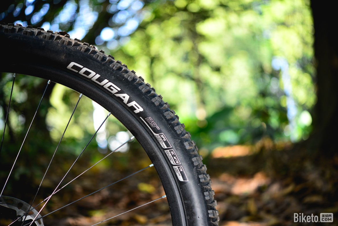 朝阳“美洲狮”山地折叠外胎评测