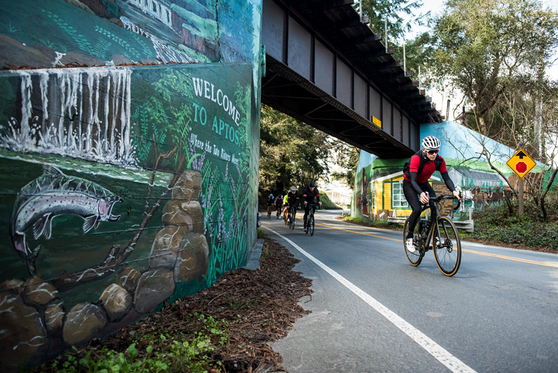 �������� Roval���鷢�������