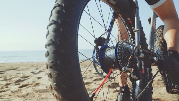 WhiteCrow����