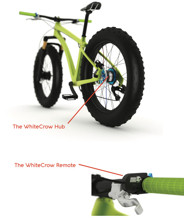 WhiteCrow����