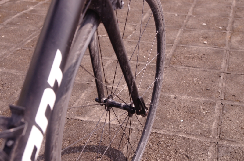 _IGP9718.JPG _IGP9718.JPG