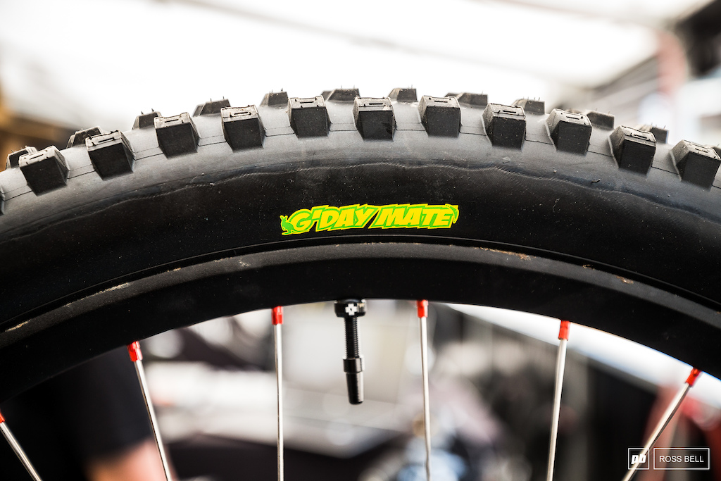 Maxxis Downhill Tire Maxxis Downhill Tire