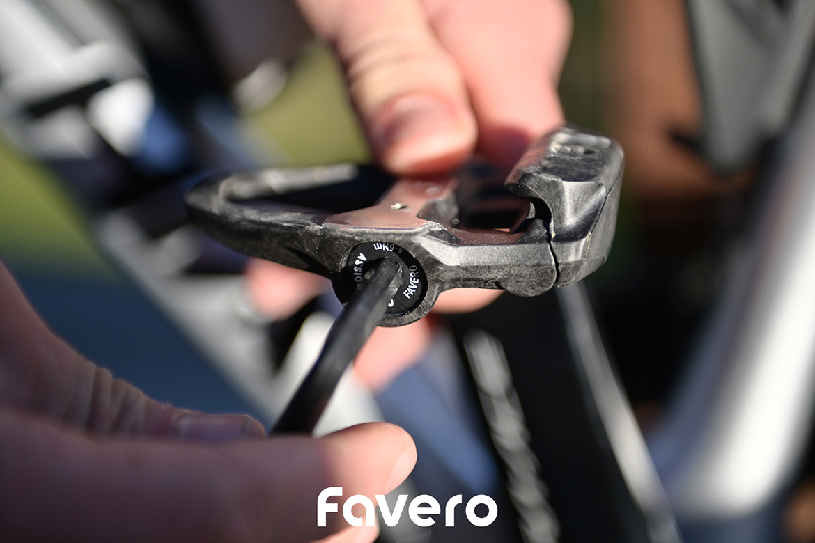 Favero Assioma PRO RS
