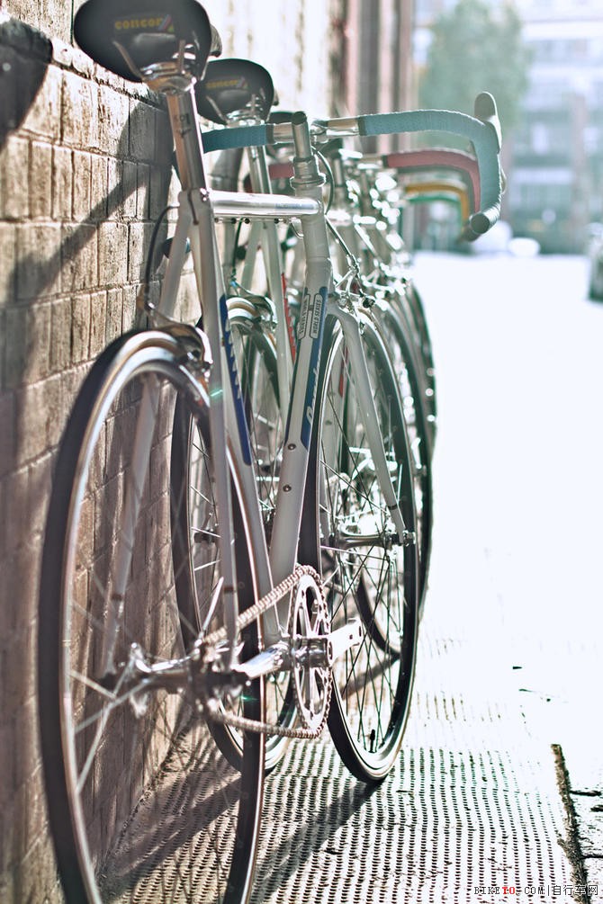 Condor全球限量版系列