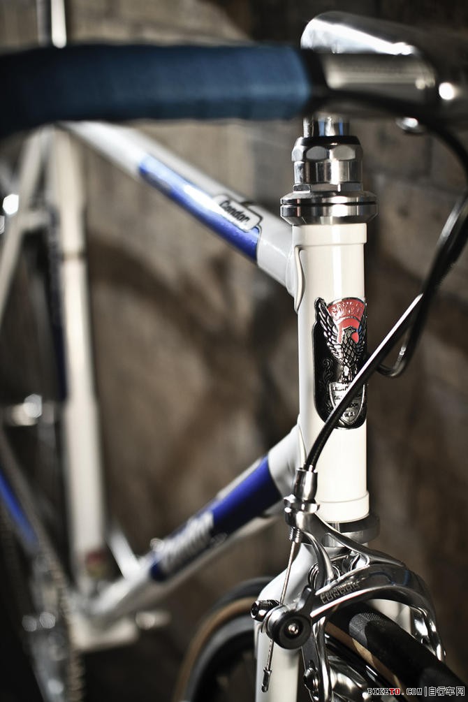 Condor全球限量版系列(蓝色)