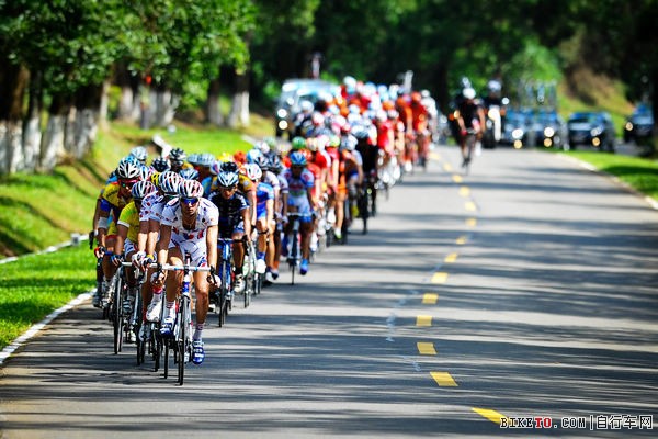 Ӣ������