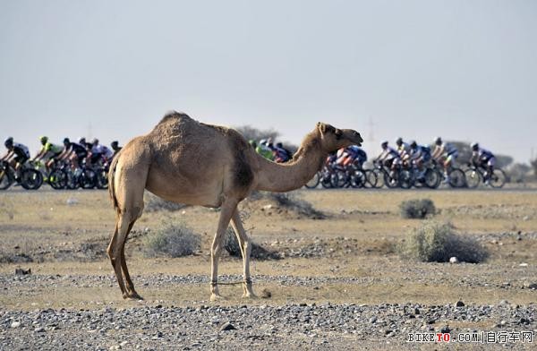 环阿曼首站格里佩尔旗开得胜
