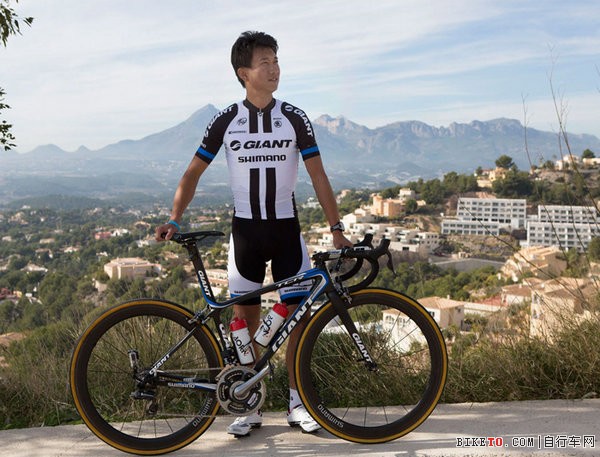�ݰ�����������,�ݰ���-����ŵ����,Team Giant-Shimano