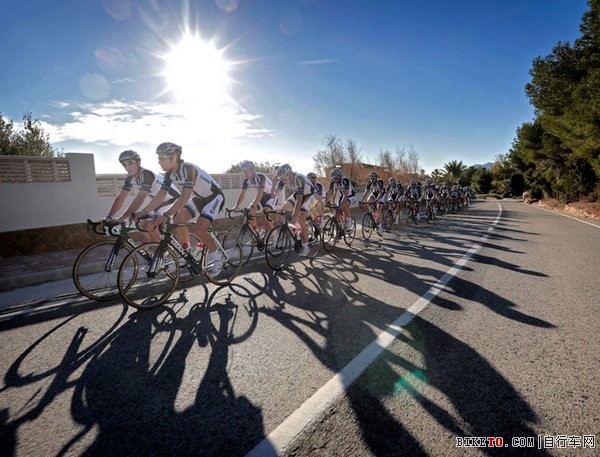 �ݰ�����������,�ݰ���-����ŵ����,Team Giant-Shimano