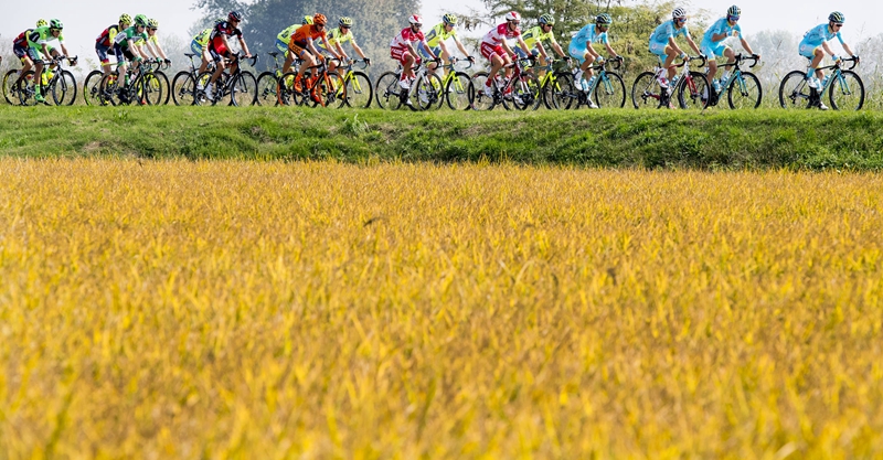 米兰,都灵,阿斯塔纳,洛佩兹,阿鲁,伍兹,公路车 米兰,都灵,阿斯塔纳,洛佩兹,阿鲁,伍兹,公路车