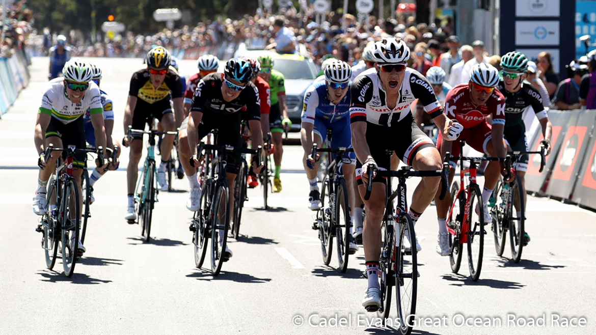 埃文斯,阿恩特 埃文斯,阿恩特