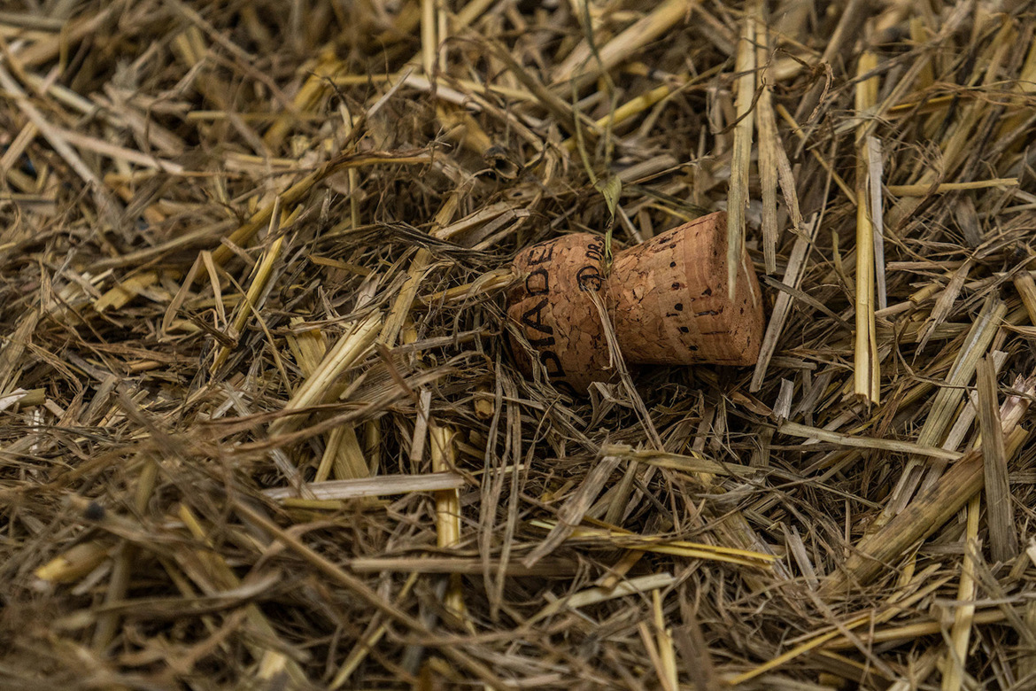 红牛城市自由式极限单车大赛 红牛城市自由式极限单车大赛