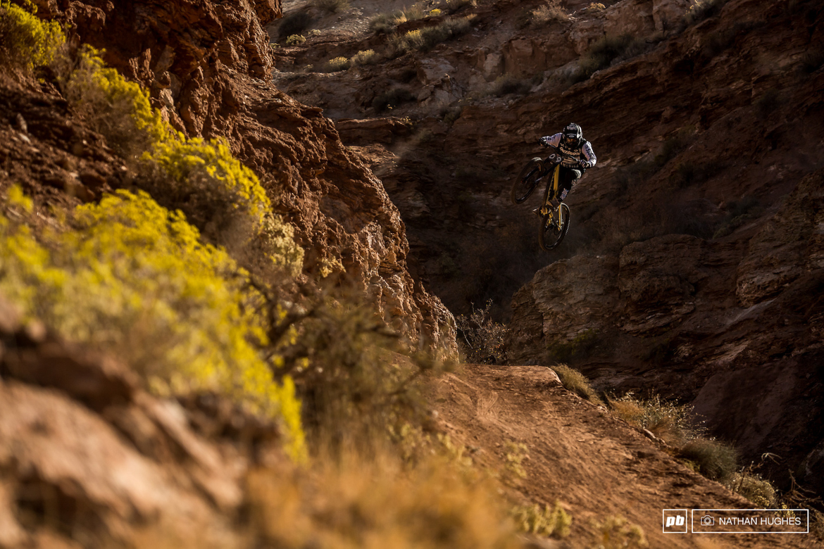 2017��ţ׹ɽ��ͼ��