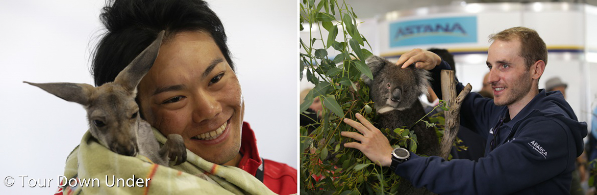 ����, Tour Down Under..-2.jpg