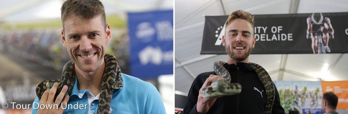 ����, Tour Down Under..-1.jpg