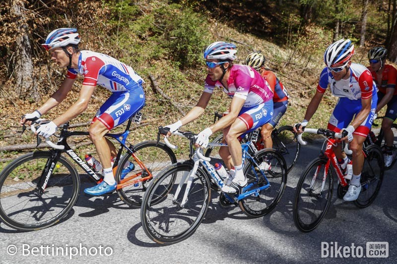 环阿尔卑斯,皮诺,弗鲁姆 环阿尔卑斯,皮诺,弗鲁姆