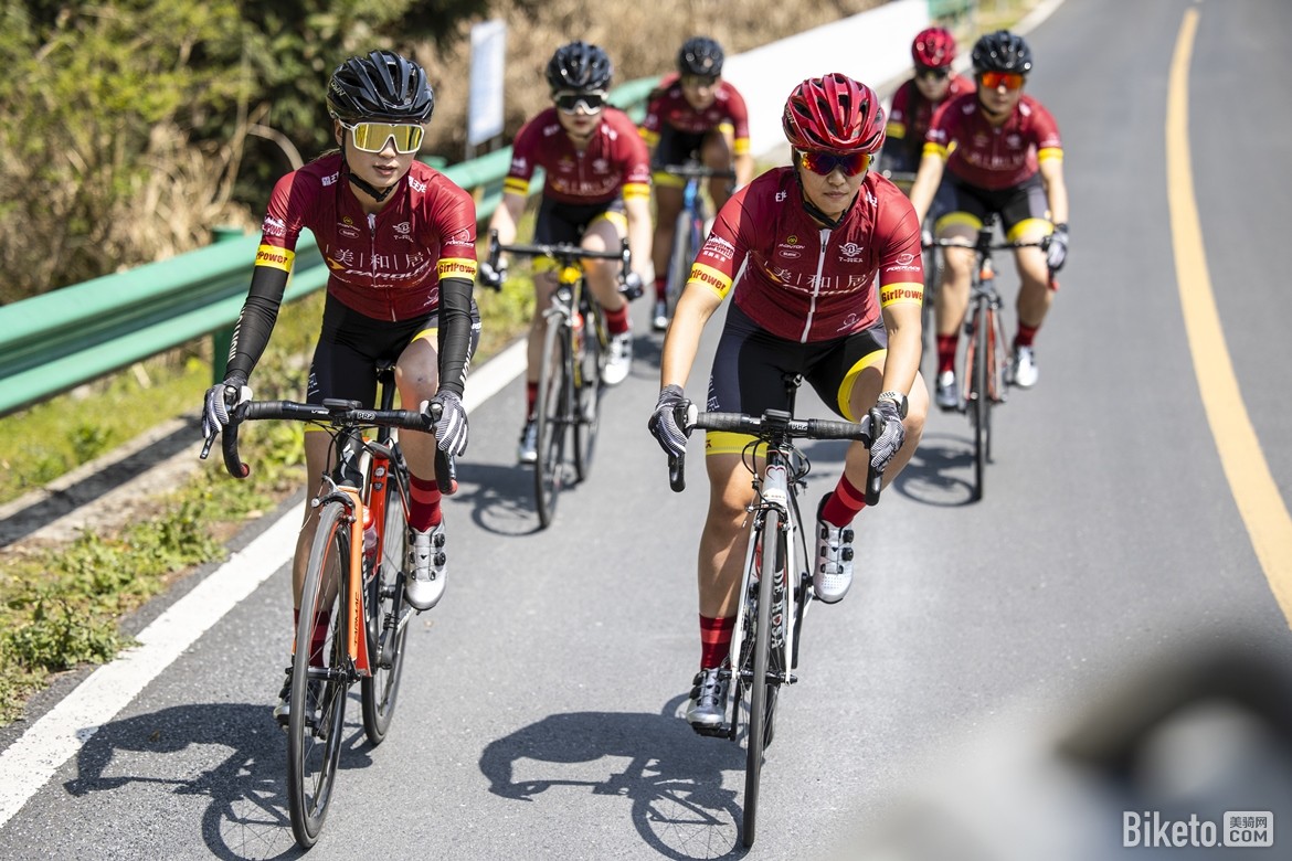 霸王龙车队成员