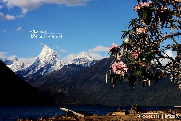 �����ɴ�ɽ�����г���