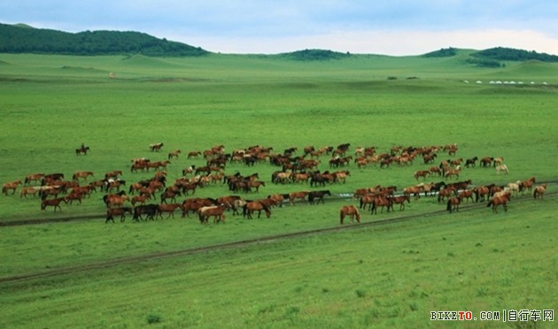 2014,乌兰布统,山地车,越野赛,MTB 2014,乌兰布统,山地车,越野赛,MTB