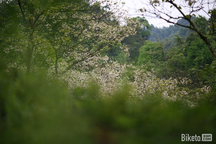 AH1A9649.jpg AH1A9649.jpg