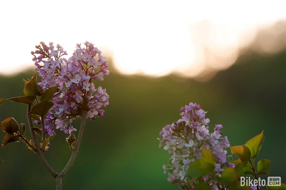 ��Ϫ�������г�ȫ������������