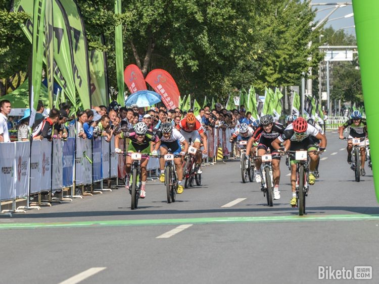 美利达杯 美利达杯