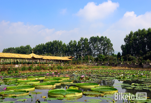 “锦绣碧溪”2015年首届山地自行车公开赛 “锦绣碧溪”2015年首届山地自行车公开赛
