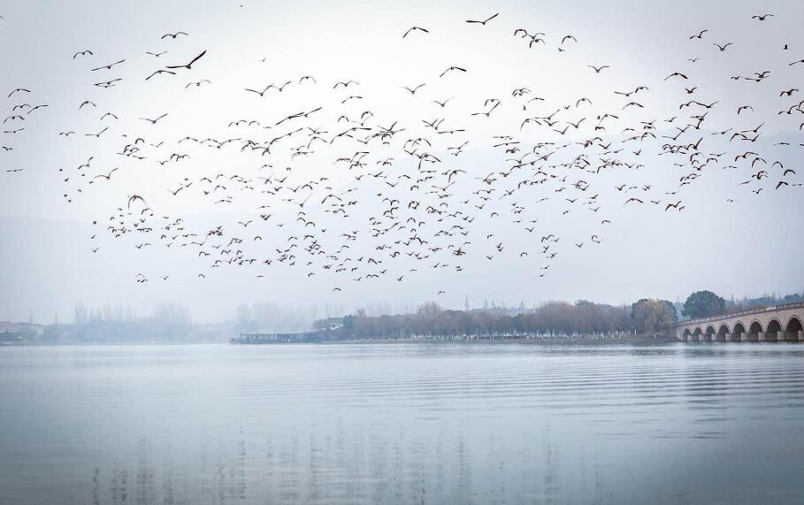 STC大铁联赛 STC大铁联赛