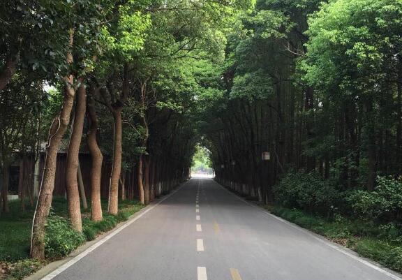 STC大铁联赛 STC大铁联赛