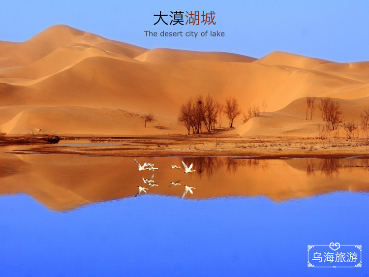 rocn,不间断骑行 rocn,不间断骑行