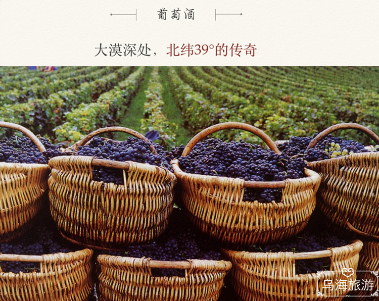 rocn,不间断骑行 rocn,不间断骑行