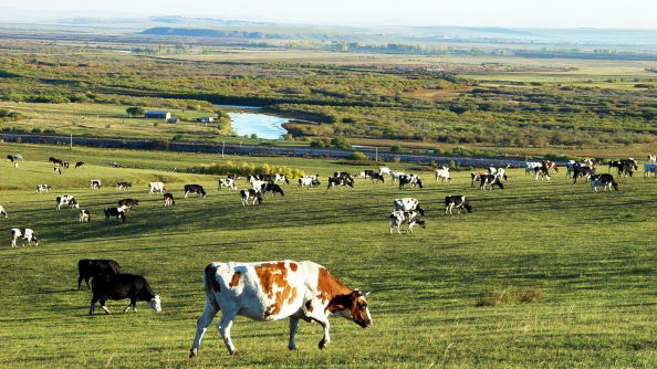 5144236674364861518.jpg 5144236674364861518.jpg