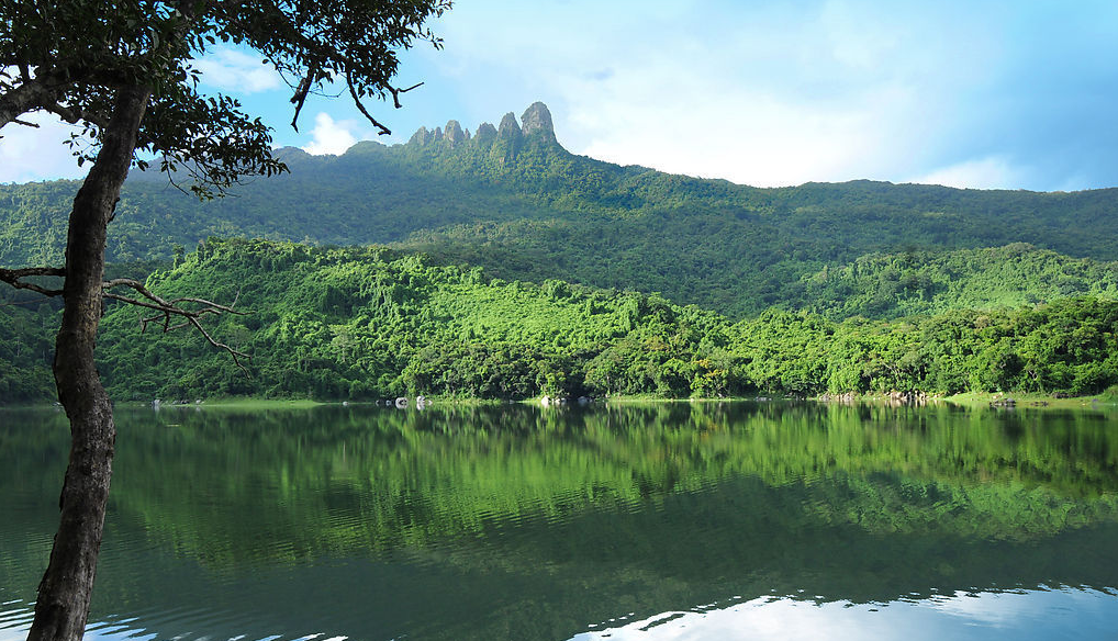 ɽ�س�,ͽ��,¶Ӫ