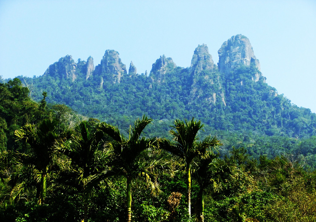 ɽ�س�,ͽ��,¶Ӫ