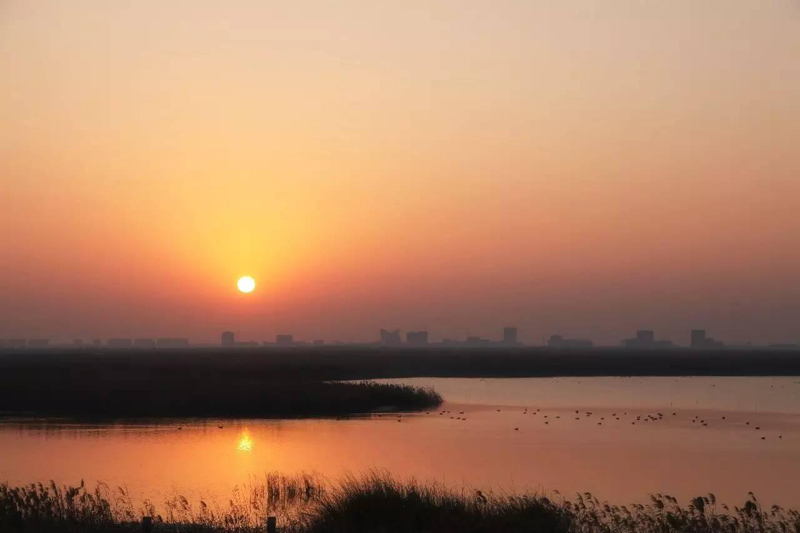 2016 STC��������֮��ˮ������113����������