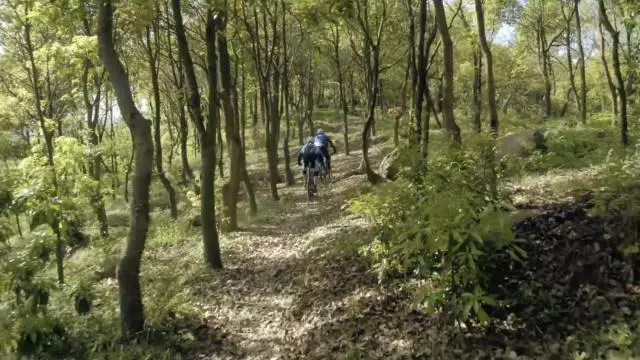 骑跑二项 骑跑二项